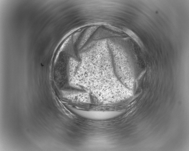 X0000072551052200608111834