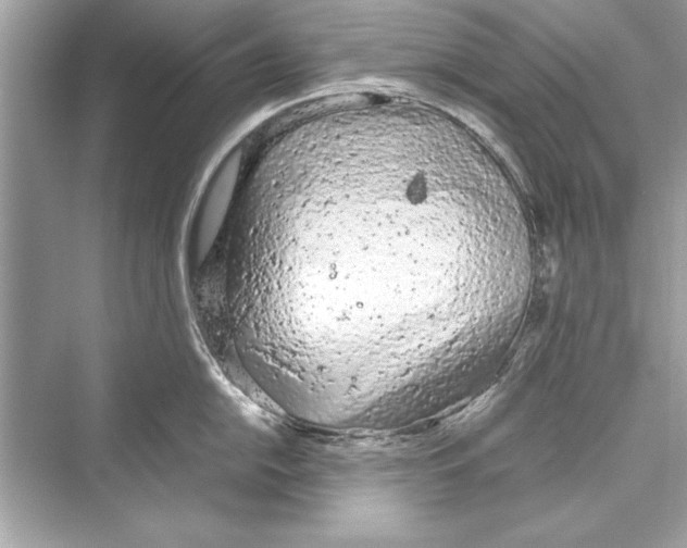 X0000072551054200608111834