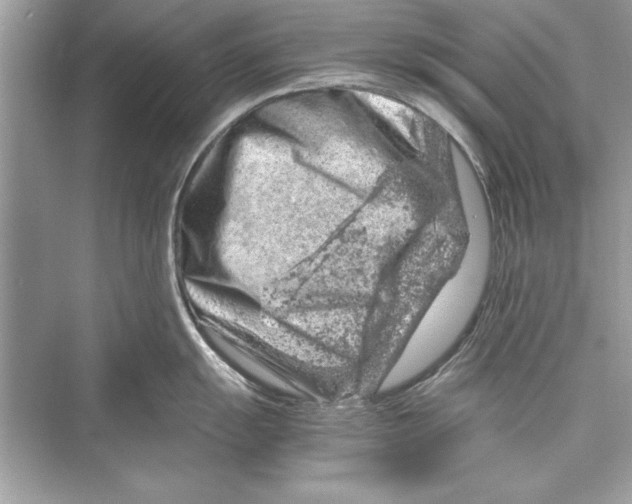 X0000072551055200608111834