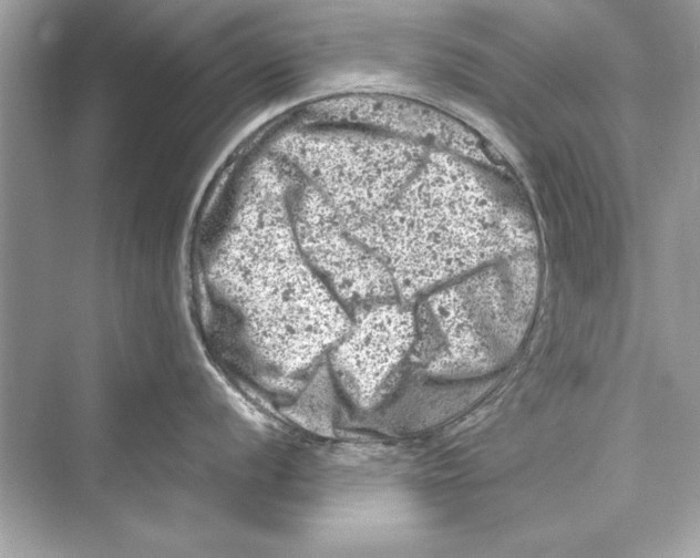 X0000072551056200608111834