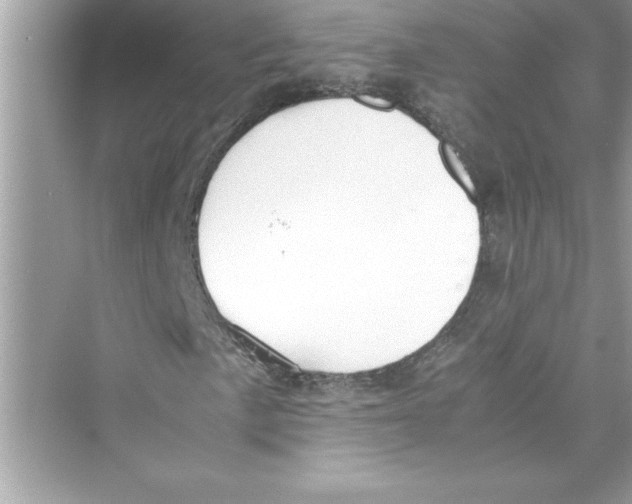 X0000072551057200608111833