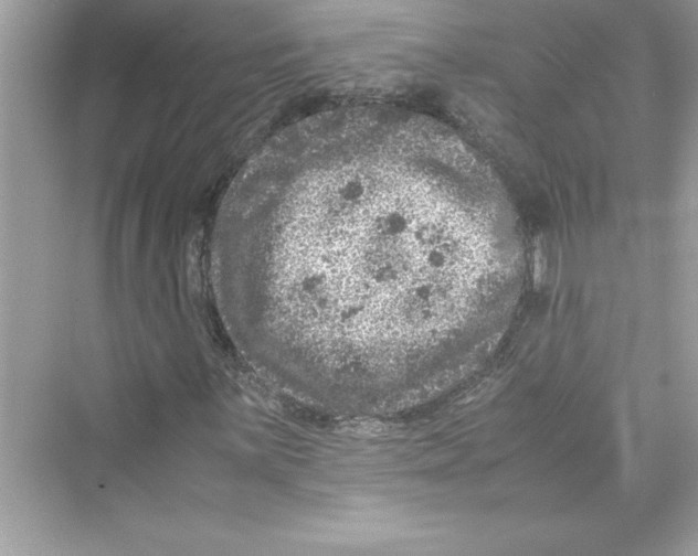 X0000072551059200608111833