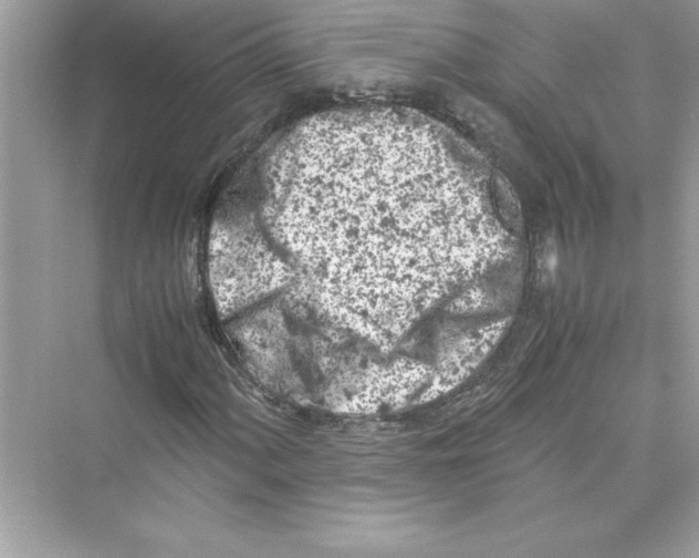 X0000072551060200608111833