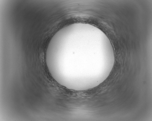 X0000072551061200608111833