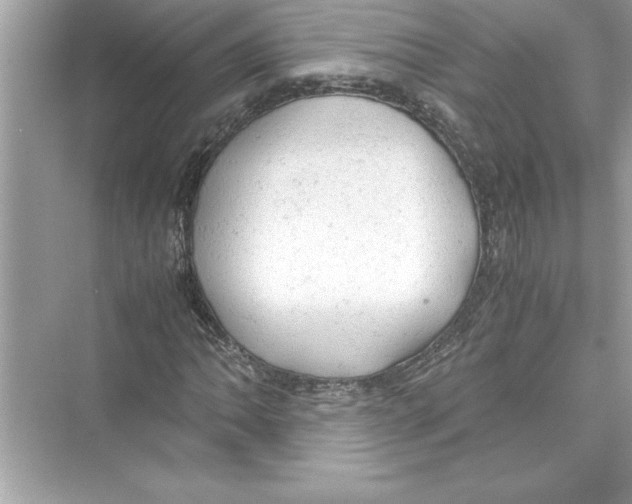 X0000072551062200608111833