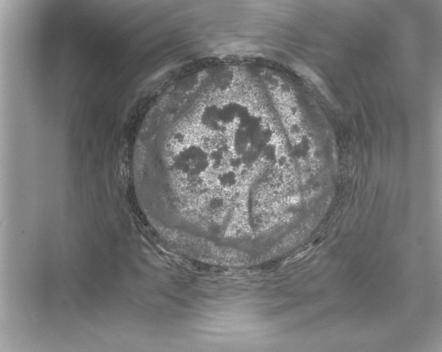 X0000072551063200608111833