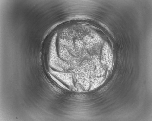 X0000072551066200608111833