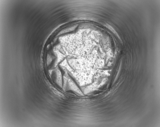 X0000072551068200608111833