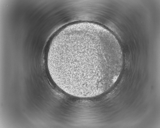 X0000072551070200608111833