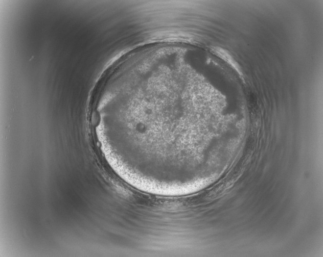 X0000072551071200608111833