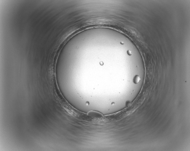 X0000072551073200608111833