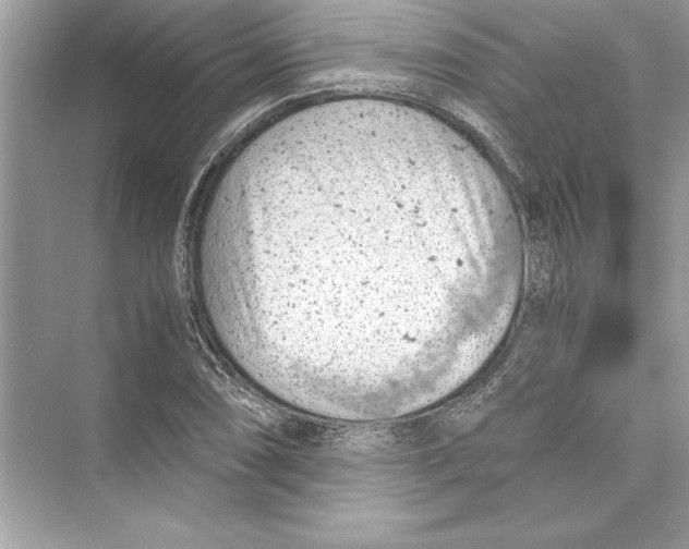 X0000072551074200608111833