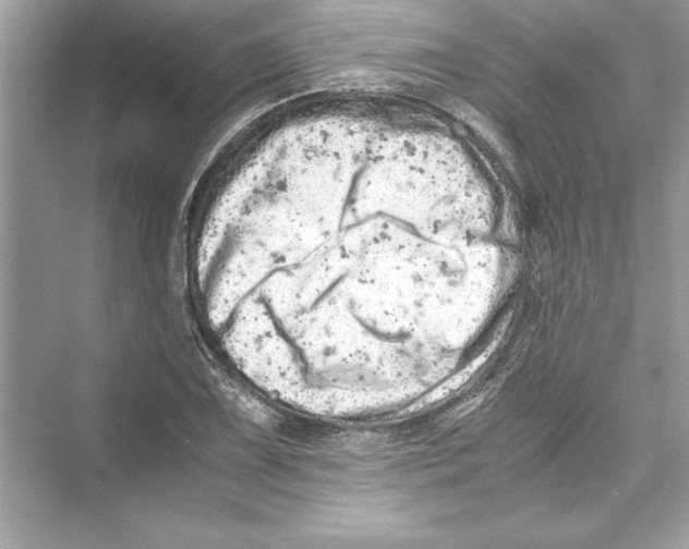 X0000072551075200608111833