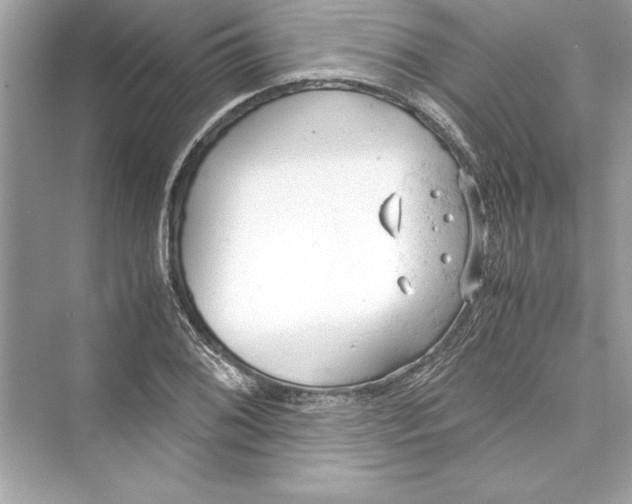 X0000072551076200608111833