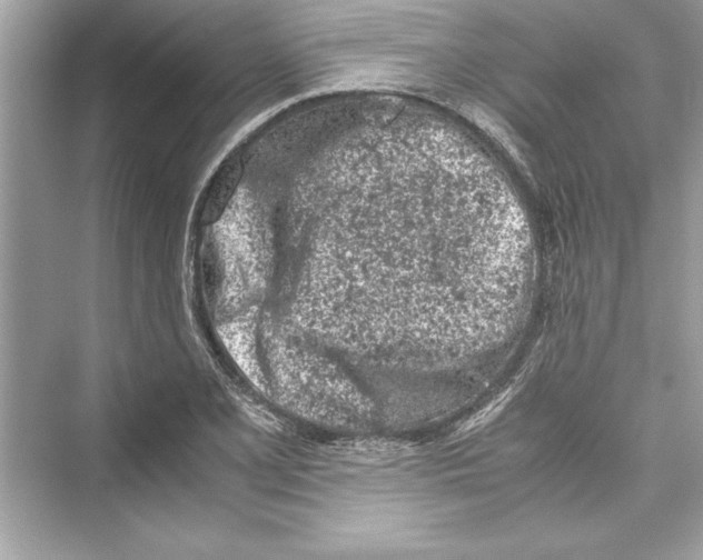 X0000072551077200608111833