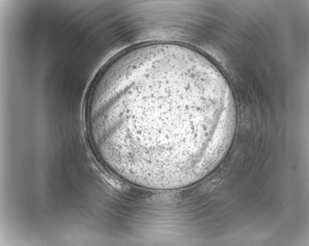 X0000072551078200608111833