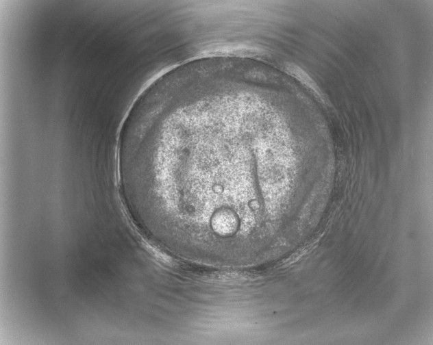 X0000072551079200608111833