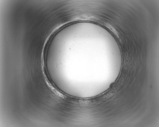 X0000072551080200608111833