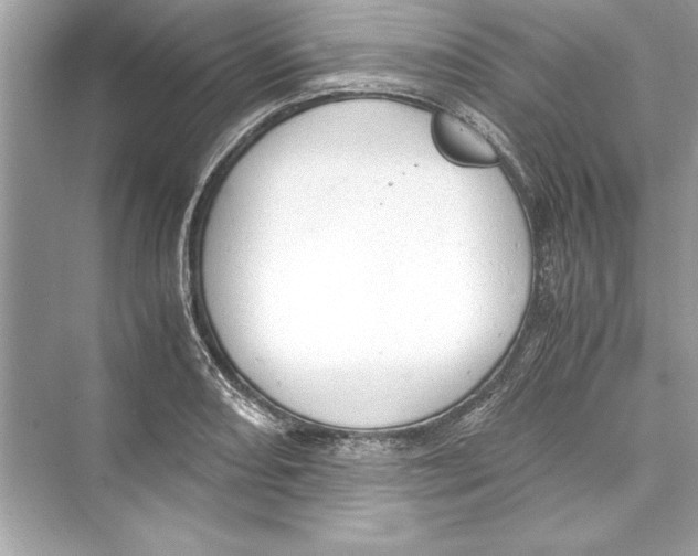 X0000072551082200608111833