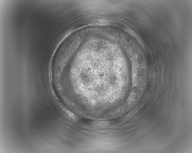 X0000072551083200608111833