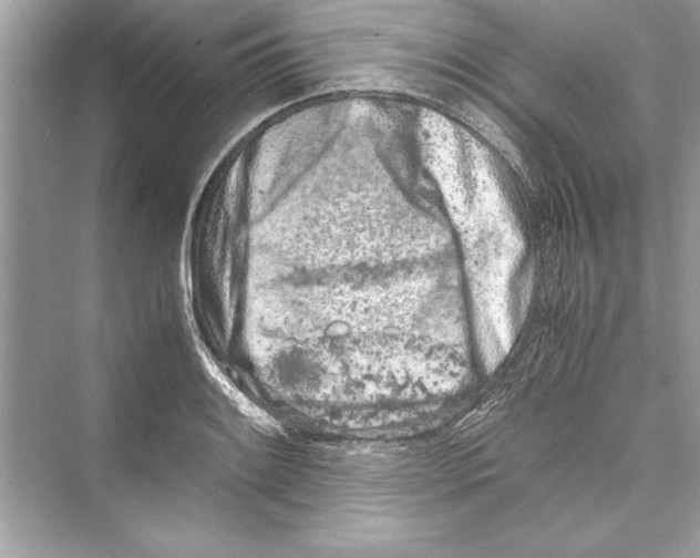 X0000072551084200608111832