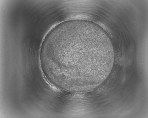 X0000072551086200608111832