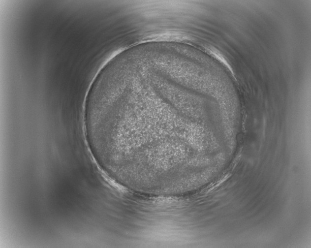 X0000072551087200608111832