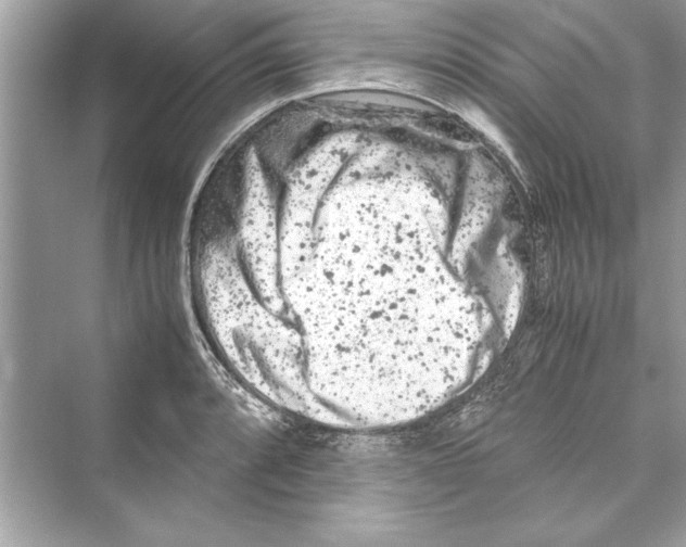 X0000072551088200608111832