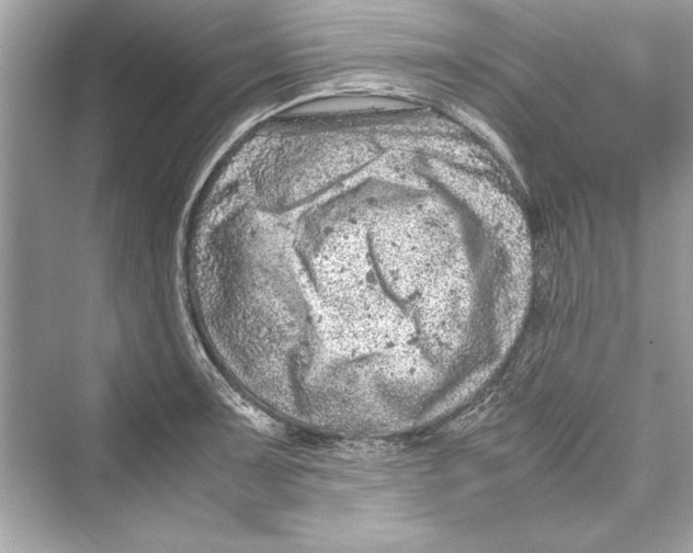 X0000072551091200608111832