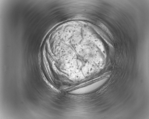 X0000072551092200608111832