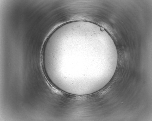 X0000072551094200608111832