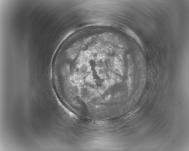 X0000072551095200608111832