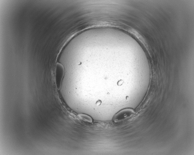 X0000072551097200608111832