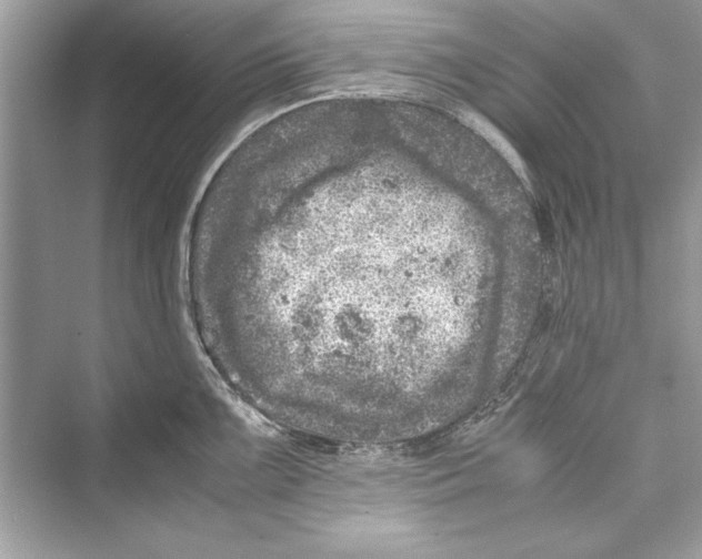 X0000072551099200608111832