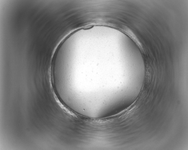 X0000072551100200608111832