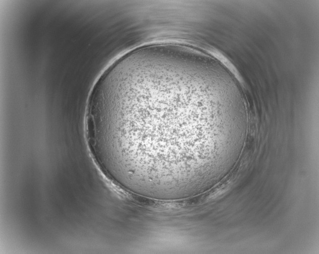 X0000072551101200608111832