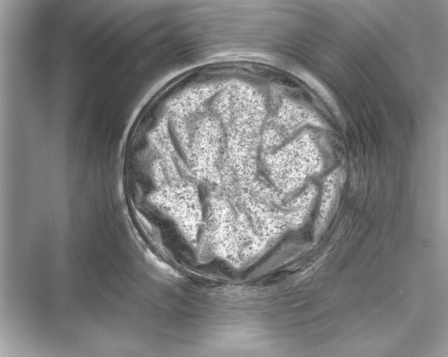 X0000072551102200608111832