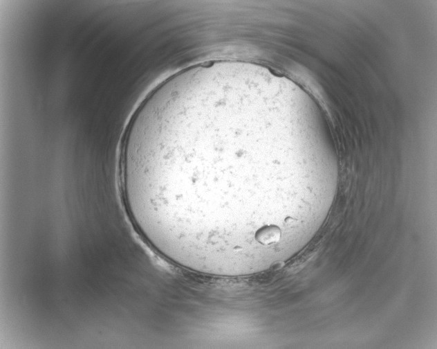 X0000072551103200608111832