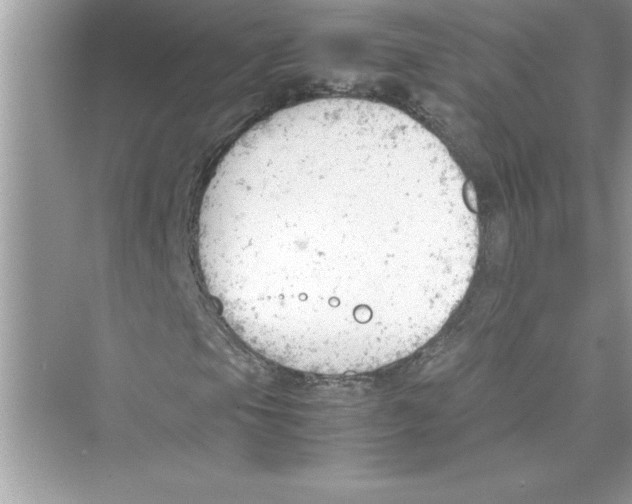 X0000072551105200608111831