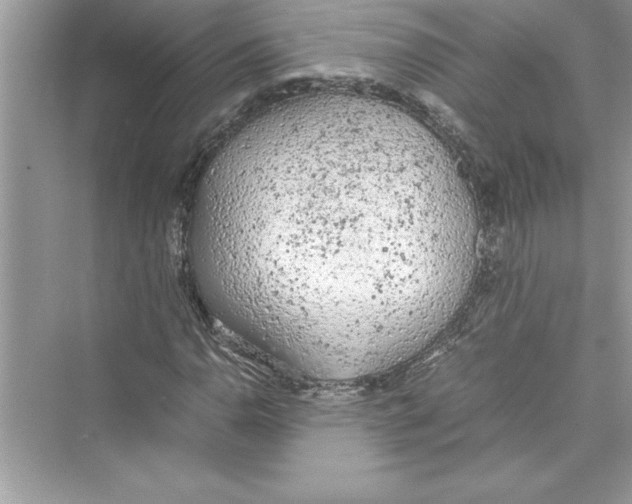 X0000072551110200608111831