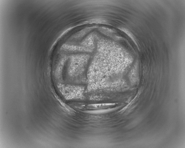 X0000072551115200608111832