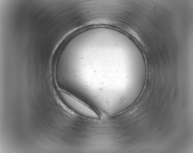 X0000072551116200608111832