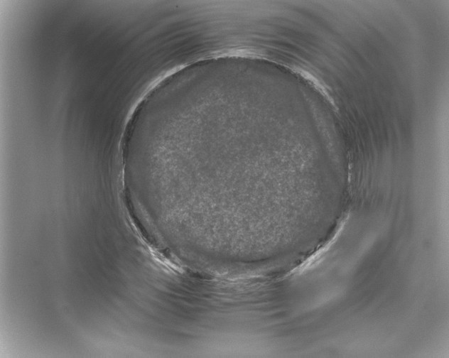 X0000072551117200608111832