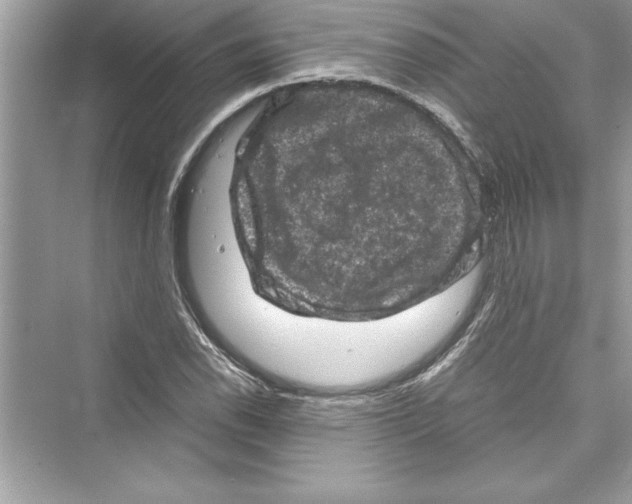 X0000072551118200608111832