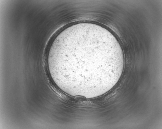 X0000072551119200608111832