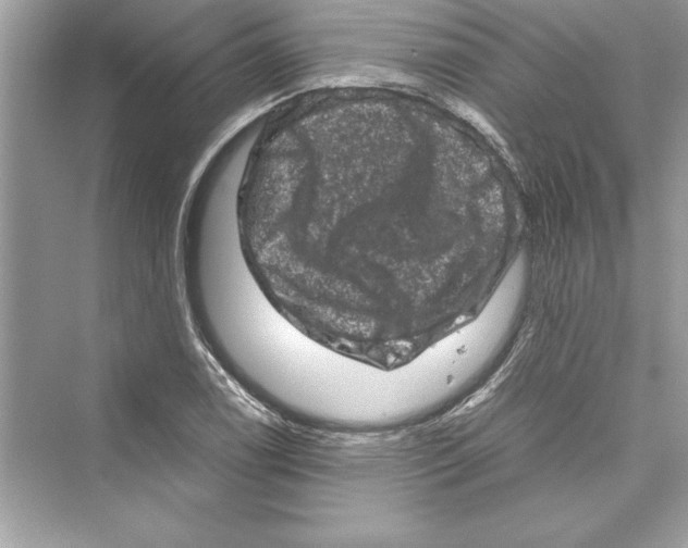 X0000072551122200608111832