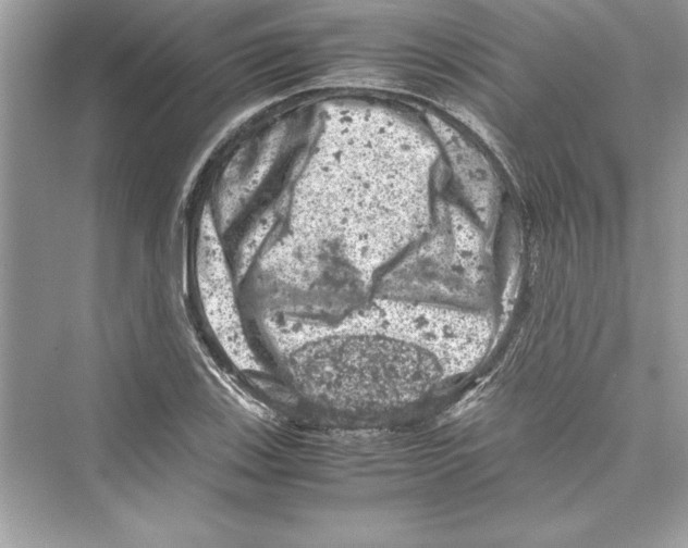 X0000072551123200608111832