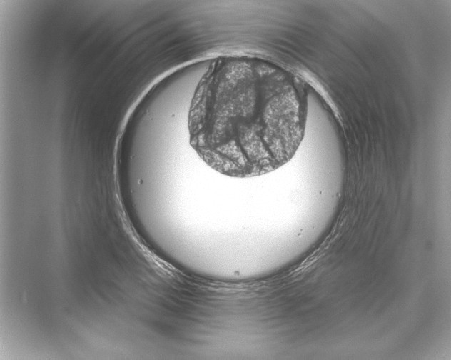 X0000072551124200608111832