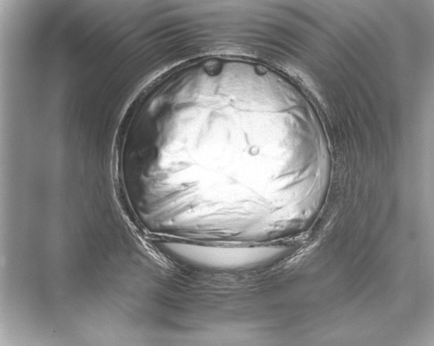 X0000072551125200608111832