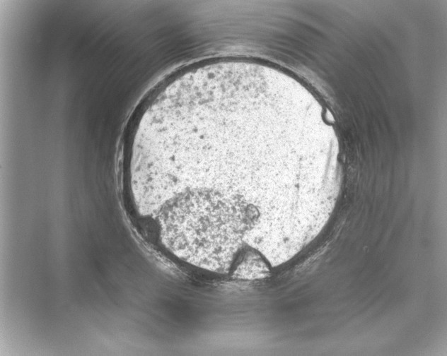 X0000072551126200608111832